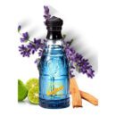 Blue Jeans Eau de Toilette For Men - 75ml