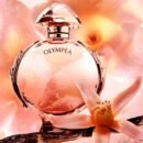 عطر أوليمبيا أكوا أو دي تواليت من باكو رابان – 80 مل
