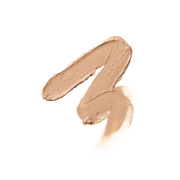 Shiseido Perfecting Stick Concealer