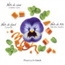 Mauboussin Pour Lui In Black - Eau de parfum - 100 ML
