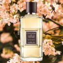 L’Instant de Guerlain pour Homme - Eau de Toilette - 100 ML