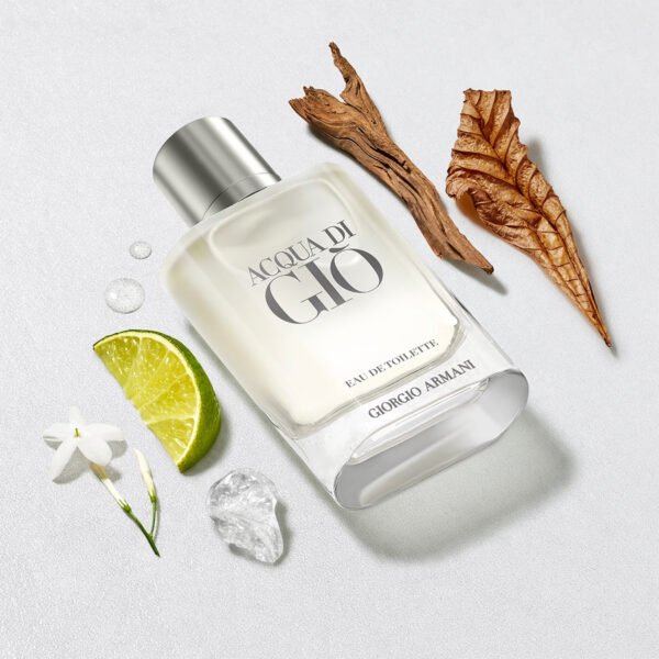 Acqua di Gio Giorgio Armani for men - Eau de Toilette - 100 ML